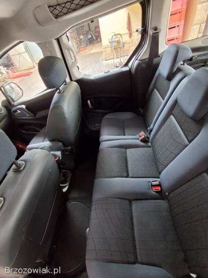 Peugeot Partner Tepee 2010