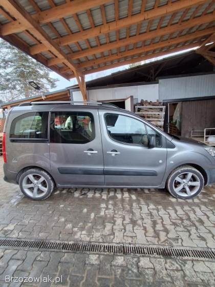 Peugeot Partner Tepee 2010