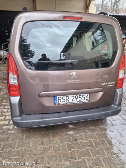 Peugeot Partner Tepee 2010