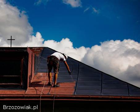 Malowanie dachów / elewacji 14 Lat na rynku