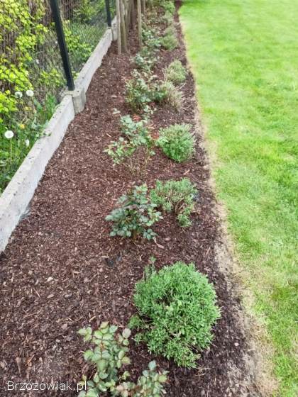 Ogród,  praca w ogrodzie