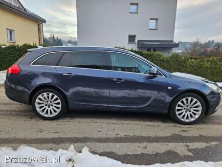 Opel Insignia 2.  0CDTI AUTOMAT 2010
