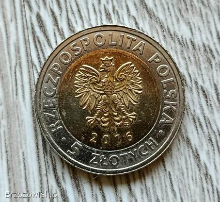 Moneta 5 zł