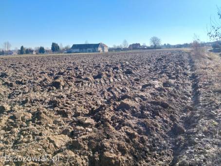 Działka rolna z warunkami zabudowy