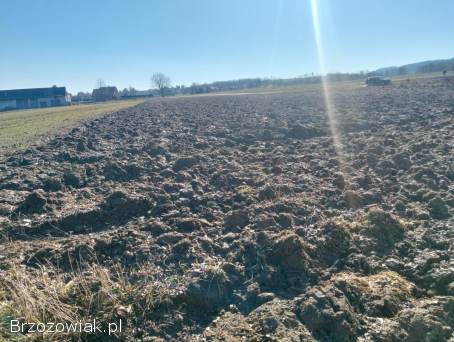 Działka rolna z warunkami zabudowy