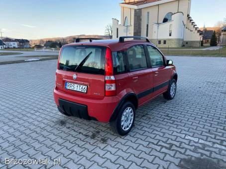 Fiat Panda 4x4 2006