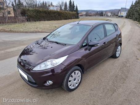 Ford Fiesta MK7 Klima 5D 2010