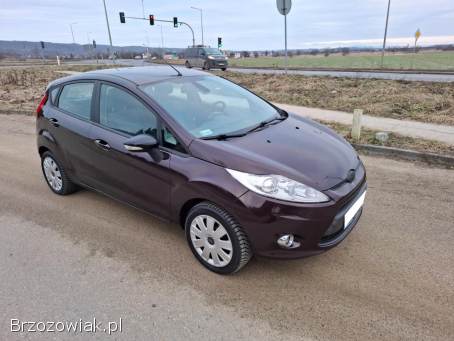 Ford Fiesta MK7 Klima 5D 2010