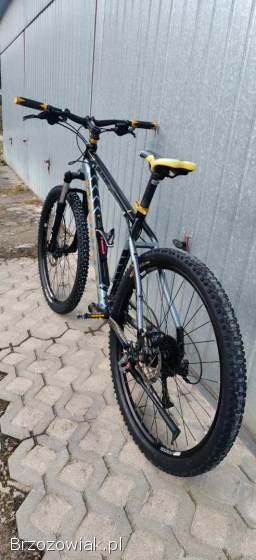 Rower Morison super stan