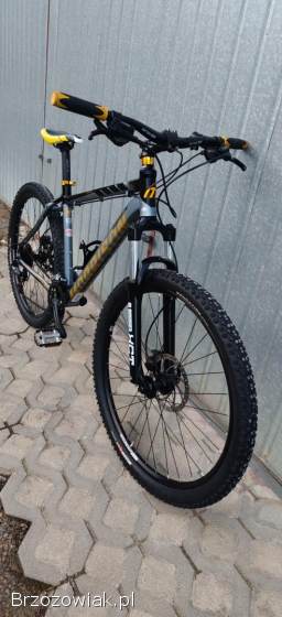 Rower Morison super stan