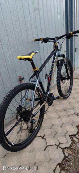 Rower Morison super stan