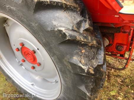 T25 w dobrym stanie z rewersem