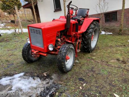 T25 w dobrym stanie z rewersem