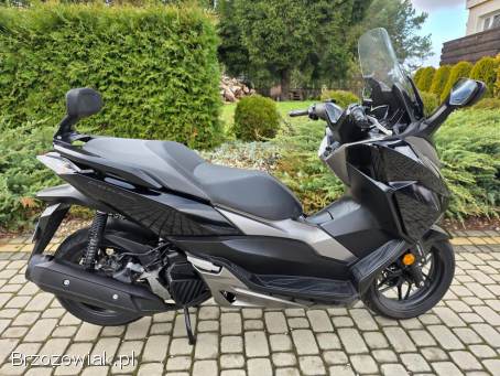 Honda Forza Kat.  B.   2017