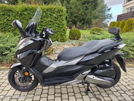 Honda Forza Kat.  B.   2017