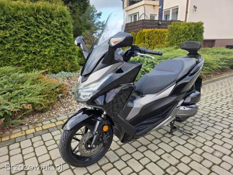 Honda Forza Kat.  B.   2017