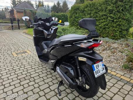 Honda Forza Kat.  B.   2017