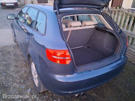 Audi A3 8p 2008