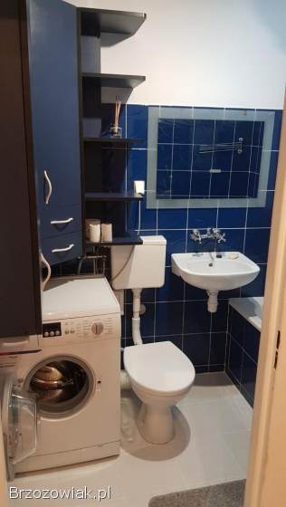 Mieszkanie do wynajęcia