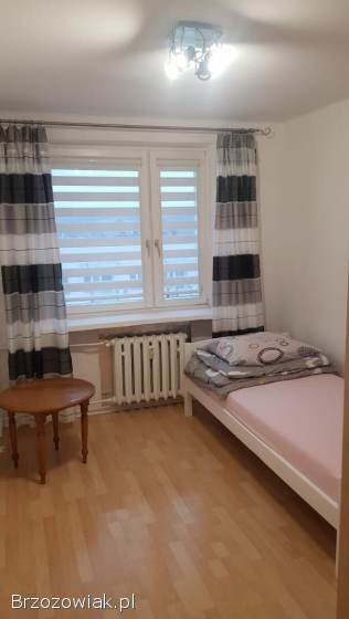 Mieszkanie do wynajęcia