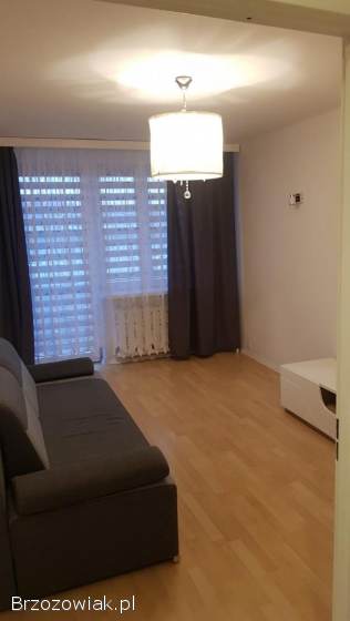 Mieszkanie do wynajęcia
