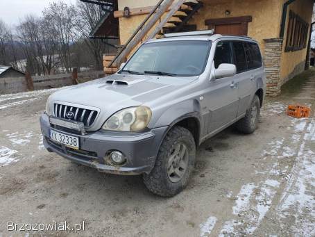 Hyundai Terracan Terenowa 2003