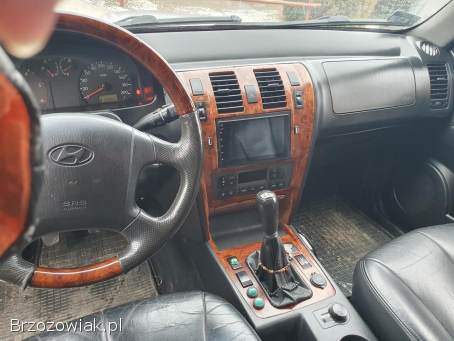 Hyundai Terracan Terenowa 2003