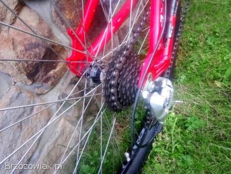 Rower górski KTM XC comp series