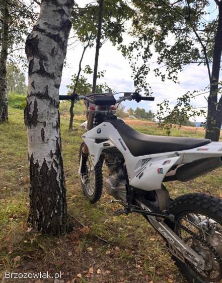 Kayo T4 Enduro 2023