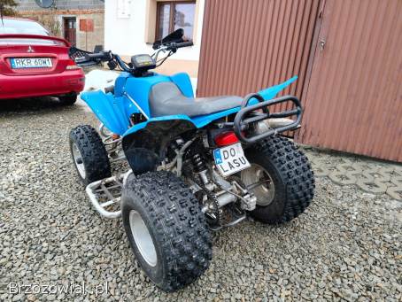 Quad Suzuki Extreme Moretti 250