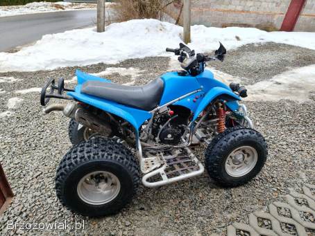 Quad Suzuki Extreme Moretti 250