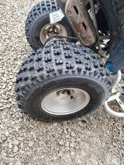 Quad Suzuki Extreme Moretti 250