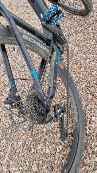 Rower elektryczne FOCUS BOLD 2