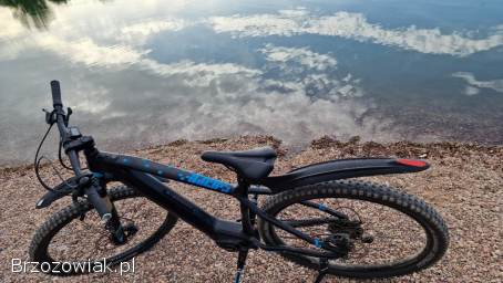 Rower elektryczne FOCUS BOLD 2