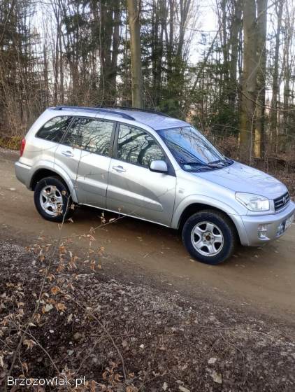 Toyota RAV4 5 drzwiowa 2002