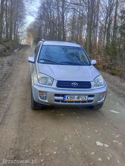 Toyota RAV4 5 drzwiowa 2002