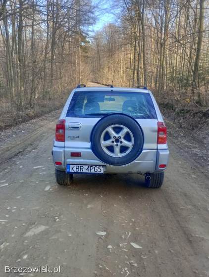 Toyota RAV4 5 drzwiowa 2002