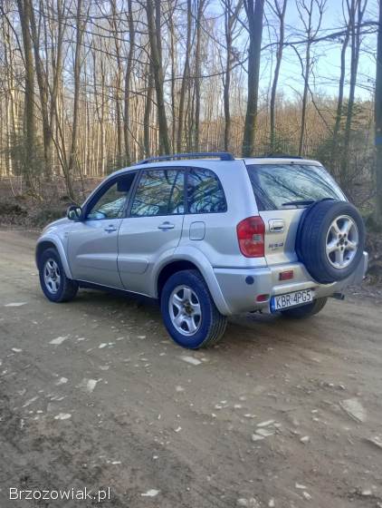 Toyota RAV4 5 drzwiowa 2002