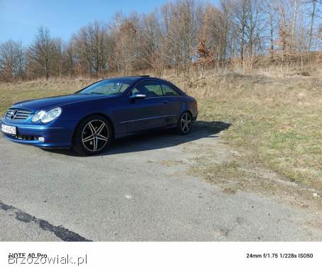 Mercedes-Benz CLK Elegancka  2002