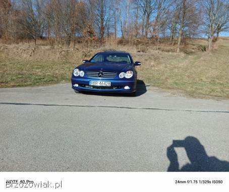 Mercedes-Benz CLK Elegancka  2002