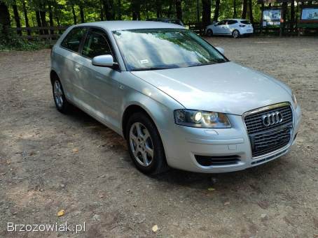 Audi A3 P8 2007