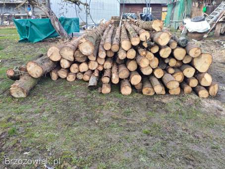 Sprzedam drewno świerka na opał!  Tanio!