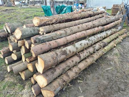 Sprzedam drewno świerka na opał!  Tanio!