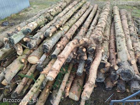 Sprzedam drewno świerka na opał!  Tanio!