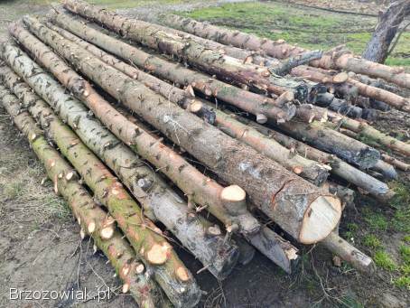 Sprzedam drewno świerka na opał!  Tanio!