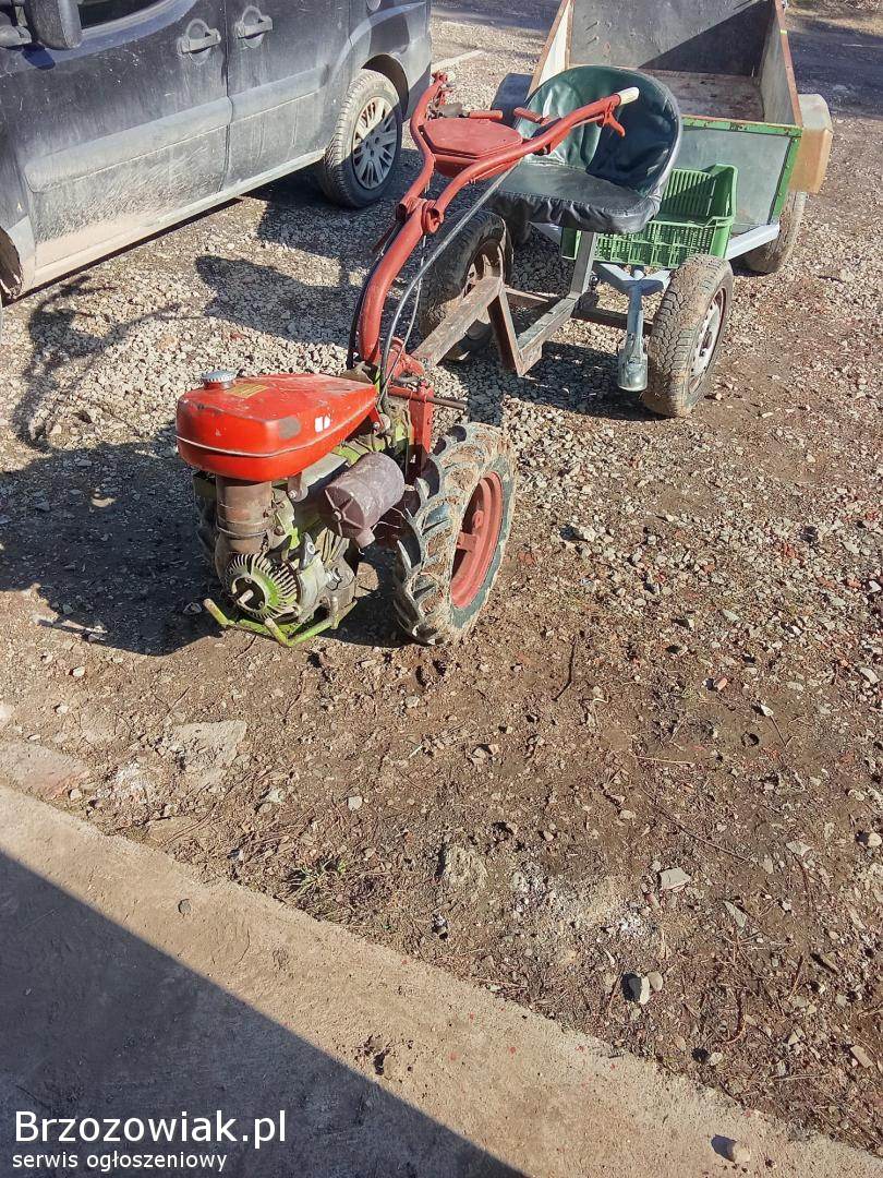 Traktorek jednoosiowy dzik