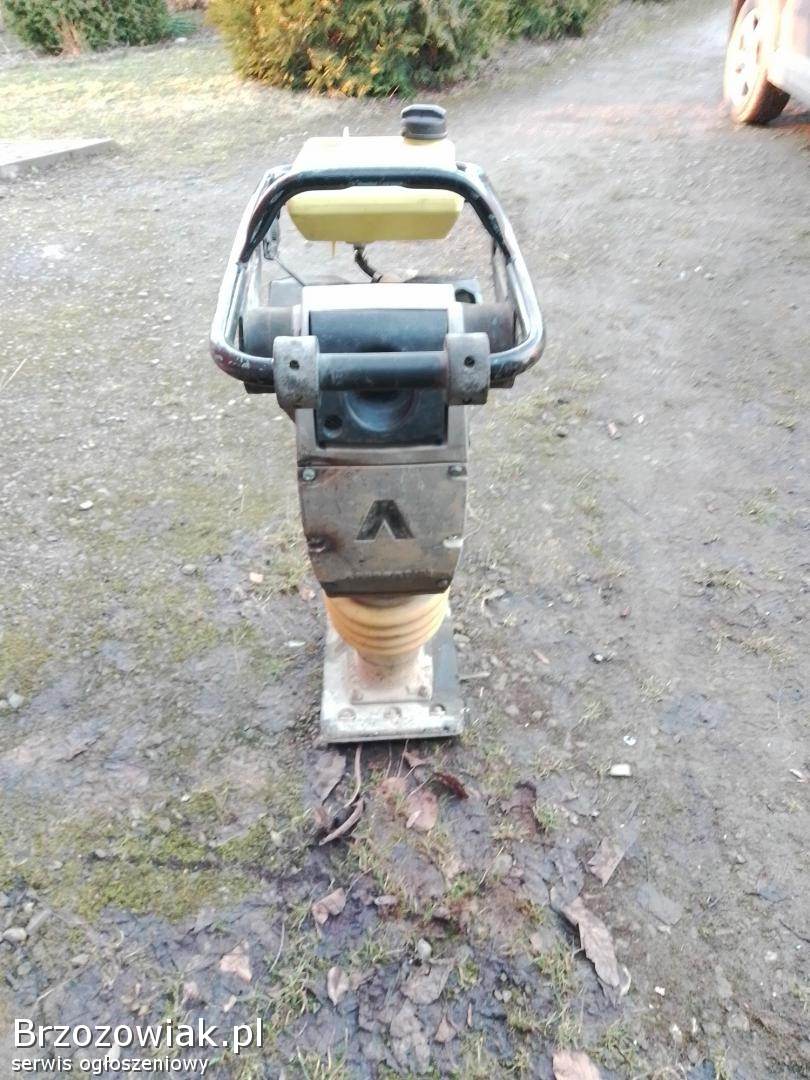 Skoczek Ubijak Stopa