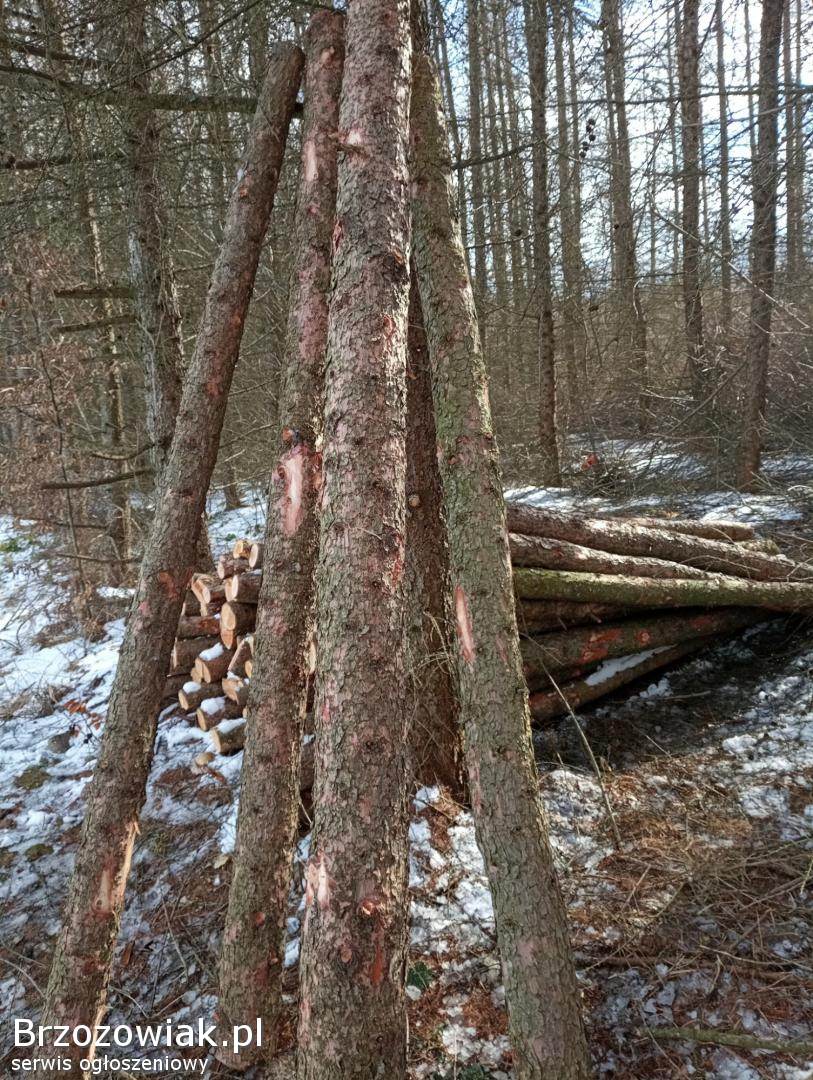 Żerdzie modrzewiowe