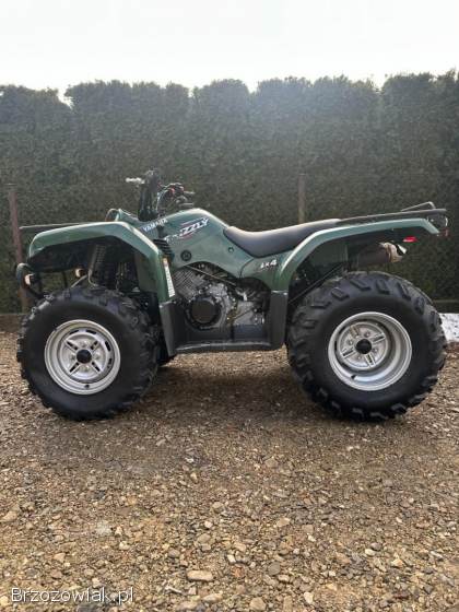 Yamaha Grizzly 350