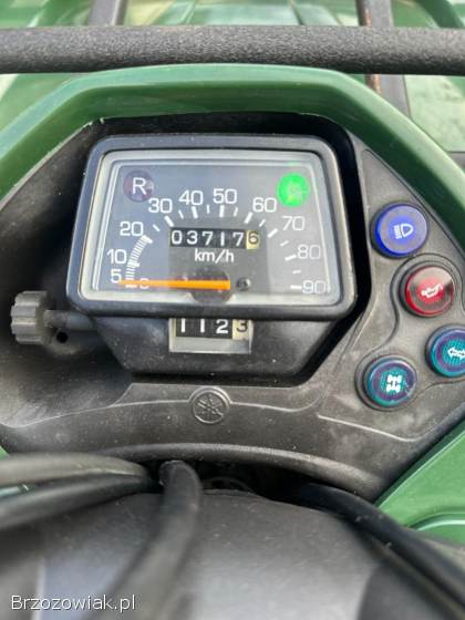 Yamaha Grizzly 350